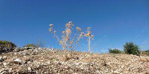 G&ouml;kce&ouml;ren - Cukurbag